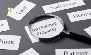 Navigating the Legal Labyrinth