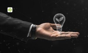 Strategy and Innovation