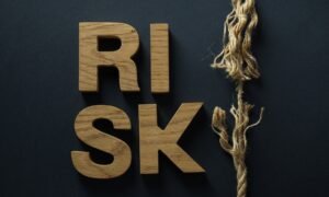 The Risk-Return Equation