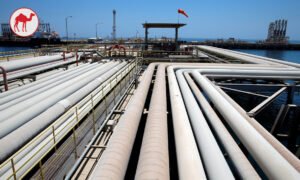 Beyond Oil: How Gulf Economies Are Reinventing Themselves