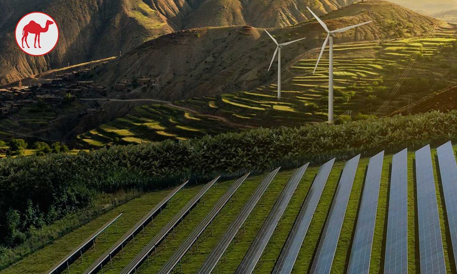 Sustainable Living Green Initiatives in the Middle East That Are Changing the Game