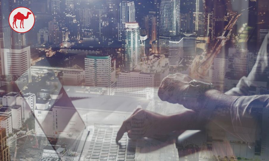 The Digital Transformation of MENA Businesses How the Region is Reshaping Its Future