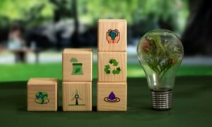 The Business of Sustainability: ESG Compliance Becomes Non-Optional