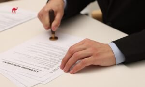 Saudi Arabia Sees Dramatic Growth in Investment Licenses