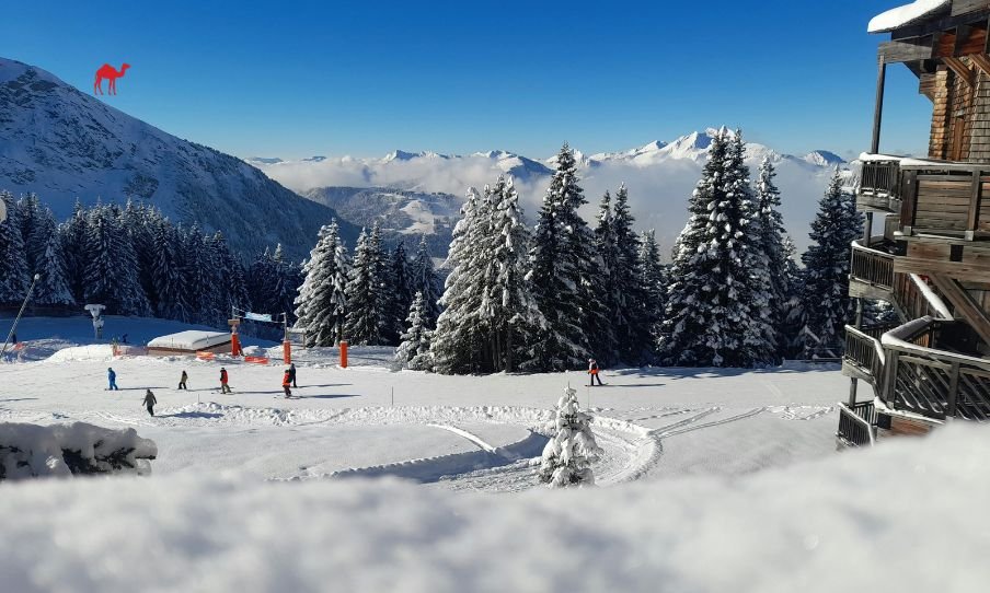 Read more about the article Top Winter Vacation Places in Arab Countries to Visit