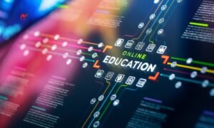 ‍‌Education in the Arab World