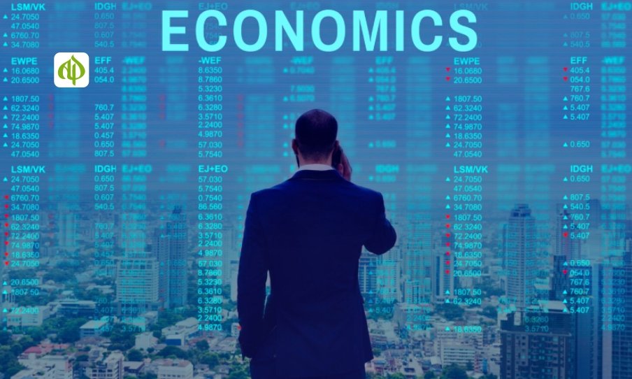 Tertiary Sector of Economy