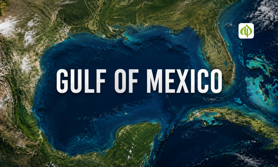 Exploring the Ecological Wonders and Economic Power of the Gulf of Mexico
