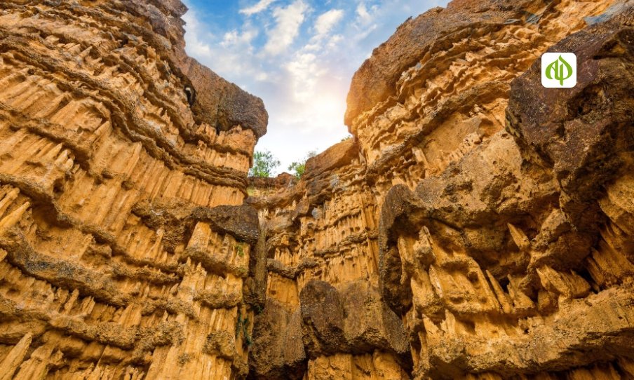 AlUla Rawis Bring Ancient